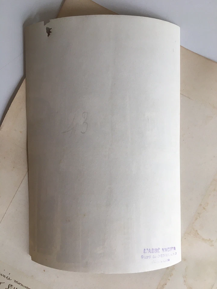 photo albumine cheminée monumentale tableau St HUBERT à la chasse 1887 - Photo 3/3