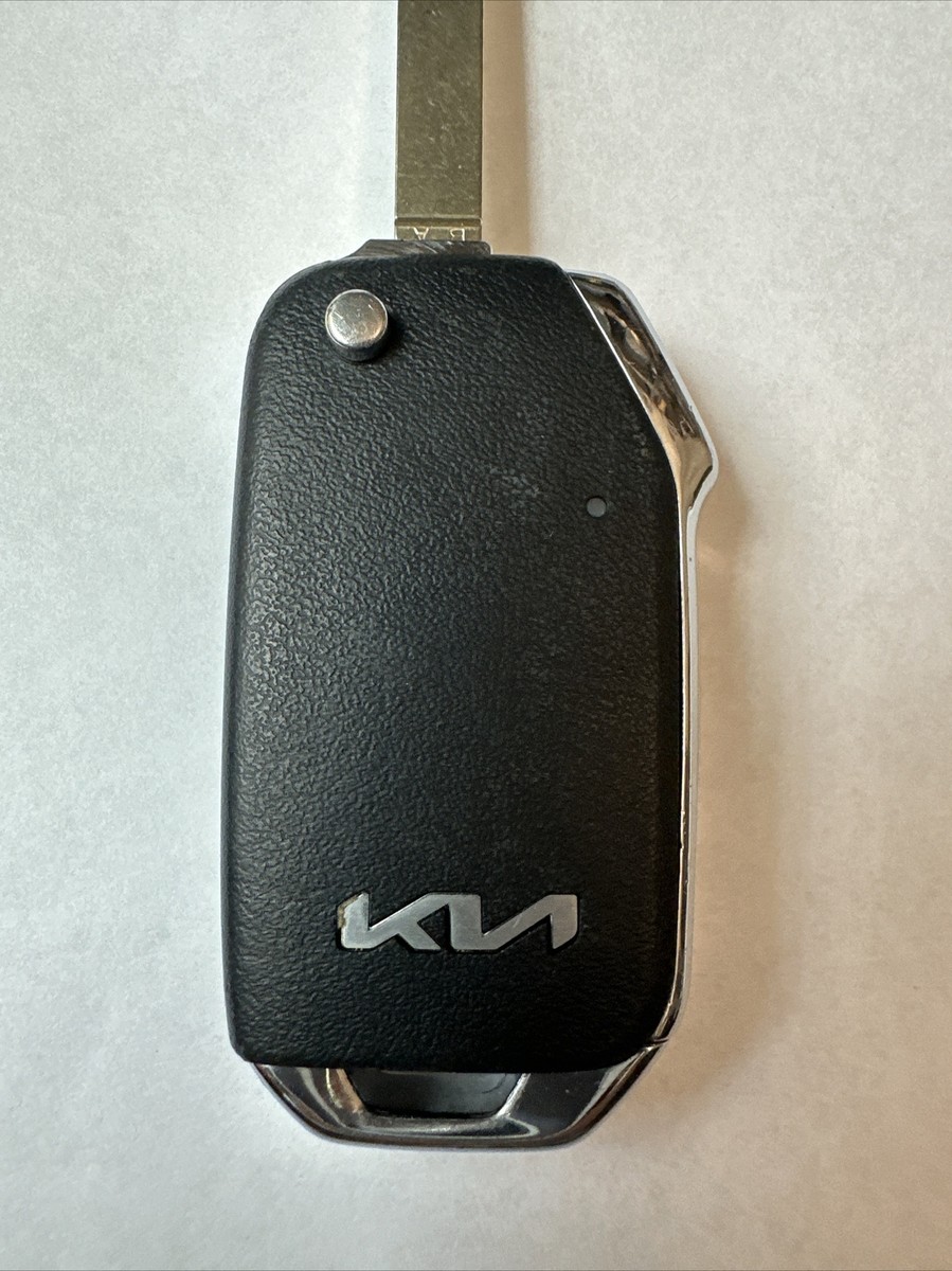 k.y.c.　24cm 7831285_Forest?wid=400&hei=400