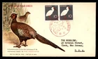 Mayfairstamps Japan FDC 1960 Bird Pair Bird Preservation First Day Cover aax_351