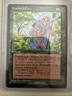 Vintage *Nature's Lore* (NM) Ice Age ICE Magic MTG 1995