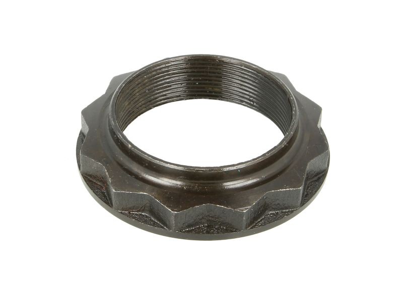 Fits PETERS 021.101-00 Nut, kingpin 021.101-00 Wheel hub nut rear (M5 ⭐UK Stock⭐