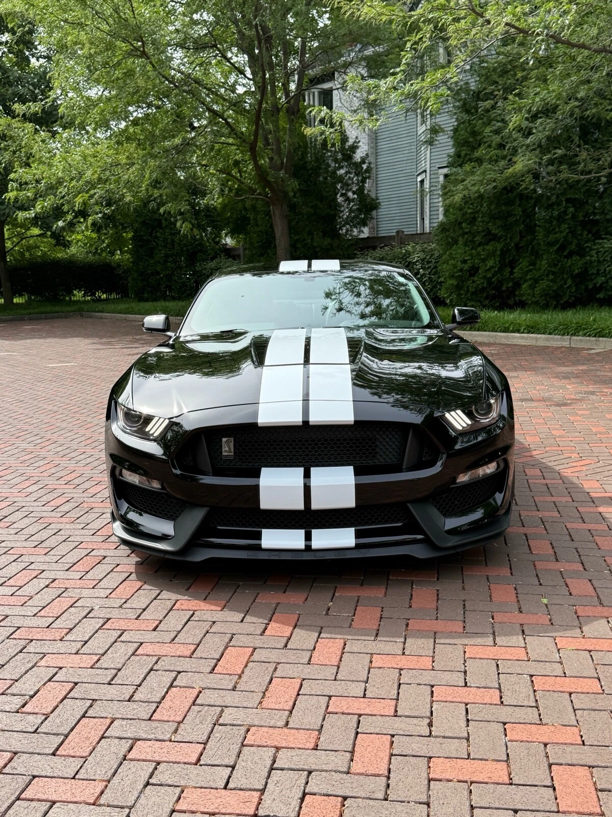 Picture 2 of 37
