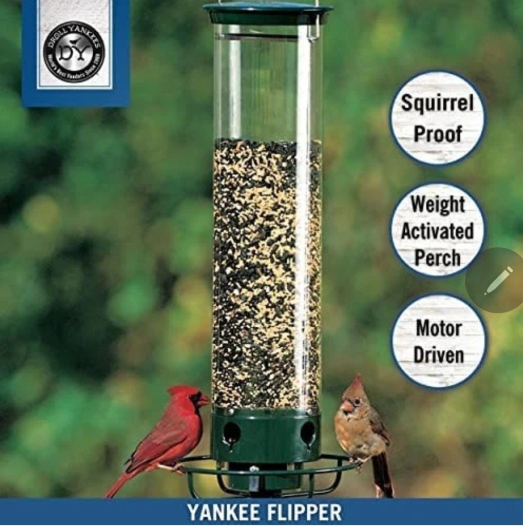 Droll Yankees Flipper Squirrel Proof Bird Feeder