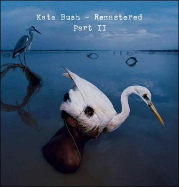 Kate Bush Box Set Music CDs