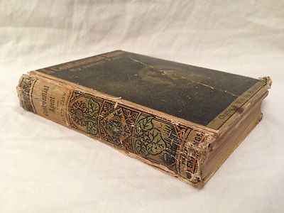 James Payn - A Confidential Agent - Chatto and Windus Yellowback 1888, Scarce