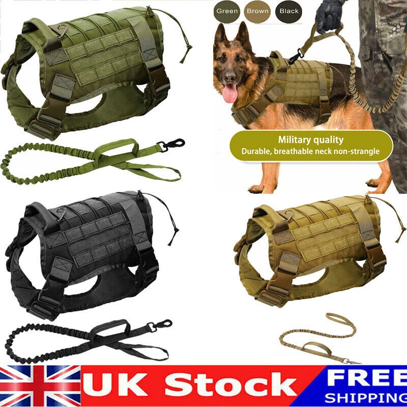 Military dog clearance equipment