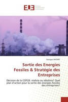 Sortie Des Energies Fossiles & StratéGie Des Entreprises Georges Hathry Buch
