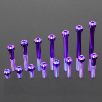 Titanium Socket Screws inner plum head Ti Bolts M8x10 12 16 20 25-100mm Grade 5