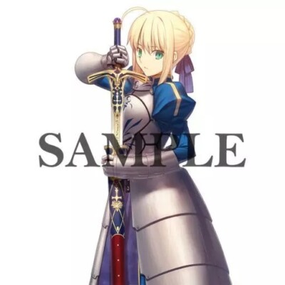 [Tapestry Wall scroll] Saber Fate/stay night Takashi Takeuchi B2 size from Japan