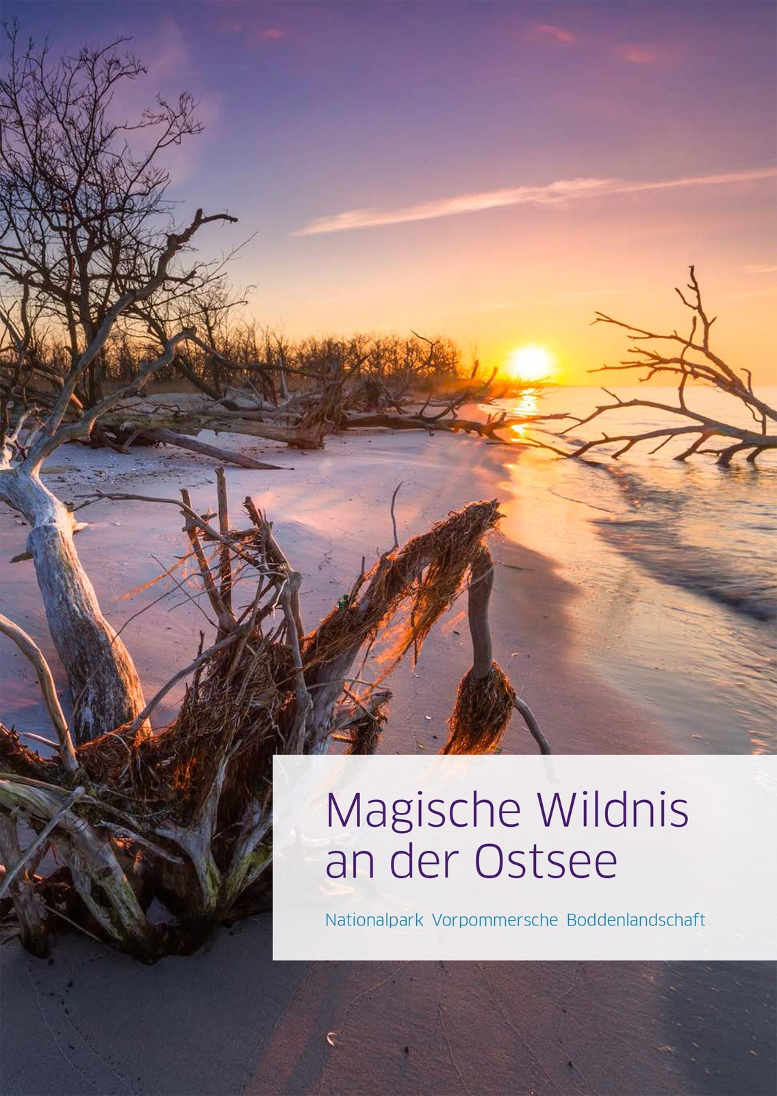 Thumbnail - Magische Wildnis An Der Ostsee, Jan Baginski