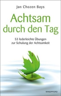 Achtsam durch den Tag | Bays, Jan Chozen | Kartoniert | 9783864100246