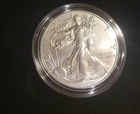 2021-W Burnished Uncirculated American Silver Eagle Type 2 Coin OGP/COA (21EGN)