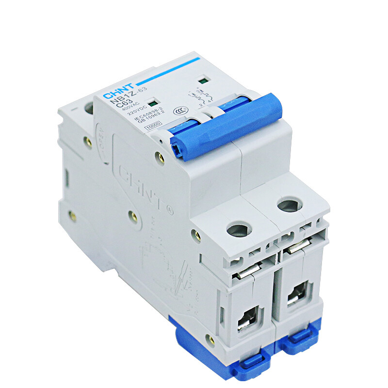 2Pcs For CHINT DC Circuit Breaker NB1Z-63 C63 2P 63A 110V 220V | eBay