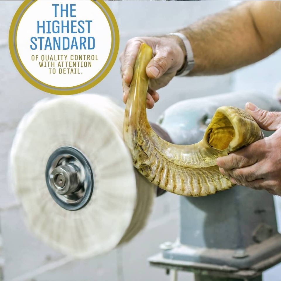 Ram Shofar Horn from Israel Traditional Half Polished Ram Shofar, Holy