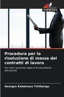 Georges Kabamusu Tshibangu | Procedura Per La Risoluzione Di Massa Dei...