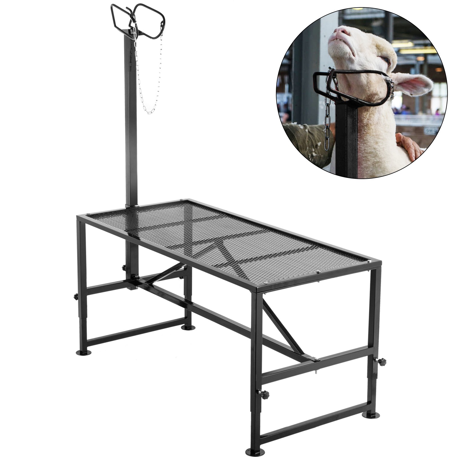 Support de parage professionnel 130x59 cm en acier forgé pour éleveurs exigeants