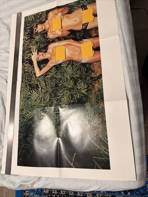 roxy music poster County Life