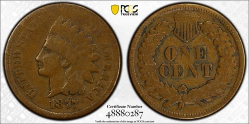 1877 indian head cent Pcgs Vg-8