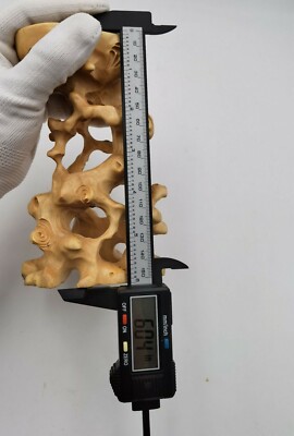 Bonsai Base Hard Wood China Boxwood Tree-Root Carved Stand Display