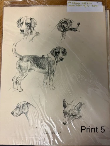 K.F. Barker 1933 1st Edition Double-Sided Dog Illustration Prints on Paper