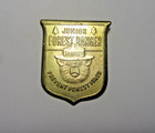 Vintage Junior Forest Ranger Smokey Bear Brass Badge Pin Prevent Forest Fires — photo 1