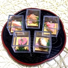 Super Real Miniature Sushi Food Sample Figure Sushi 5 -piece Set