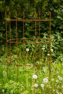 Verlängerung für Rankgerüst Rankhilfe Jumbo  Obelisk  Ø: 60cm Rost H: 100cm  