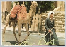 Postcard Jerusalem Old City Street Scene Camel Israel