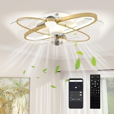 Ceiling Fans with Lights and Remote & App Control, 62 cm Modern LED Ceiling Fan