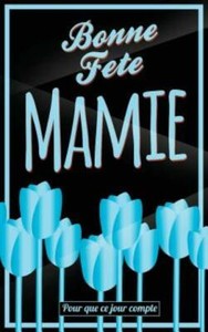 Bonne Fete Mamie Bleu Carte Fete Des Grands Meres Mini Livre D Or Pour Ebay Bonne Fete Mamie Bleu Carte Fete Des Grands Meres Mini Livre D Or Pour Ebay