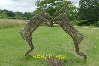 Photo 6x4 Boxing Hares willow sculpture at RHS Garden Harlow Carr Creativ c2015