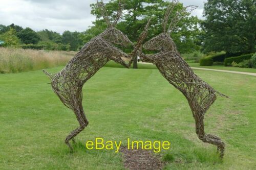 Foto 6x4 Boxgeschirr Weidenskulptur bei RHS Garden Harlow Carr Creativ c2015 - Bild 1 von 1
