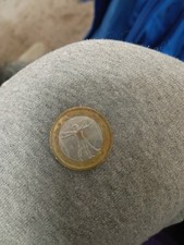 Rare Coin, 1 Euro Coin 2002 Italy, Leonardo Da Vinci,