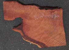 quilted redwood  curly  DIY wood crafts  r23-0886