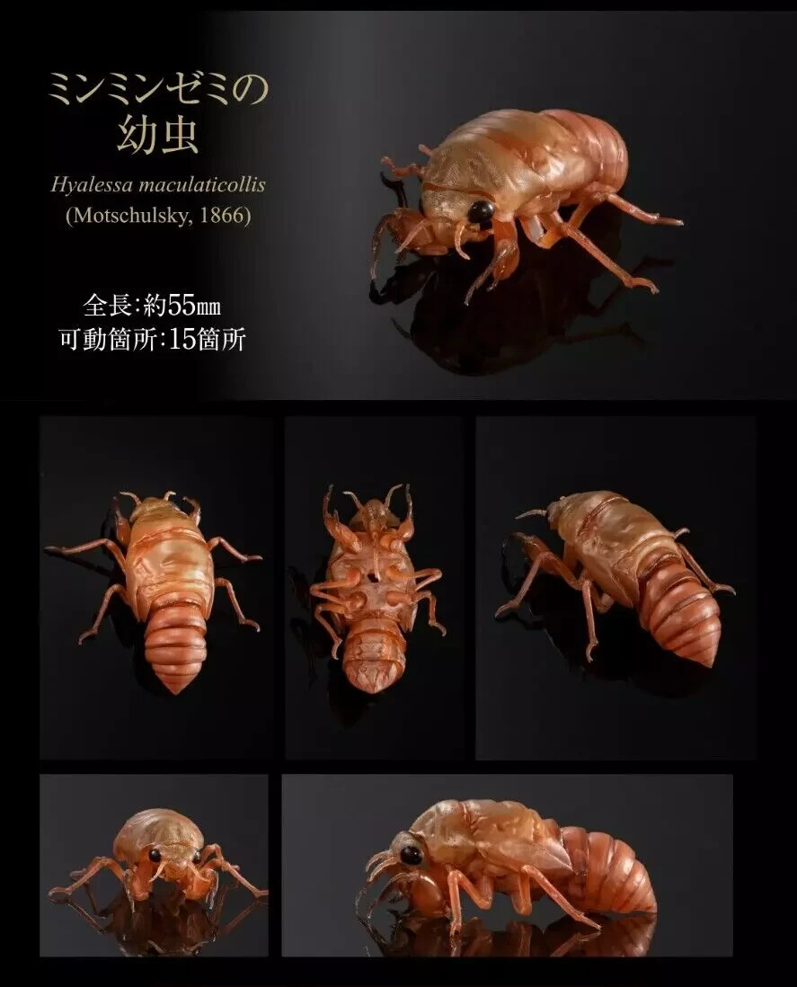 極美品★世界の動物遺産 The Diversity of Life on Earth Advance Cicada 01 Figure