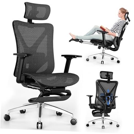 Ergonomic Office Chair with Adjustable 3D Lumbar Support in Black & White Backrest-image