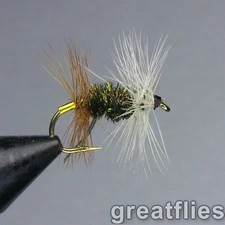 1 dozen (12) - Renegade