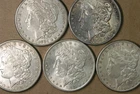 5 RARE S-Mint Morgan Silver Dollars 1884-S '86-S '87-S '91-S & 1900-S AvenueCoin