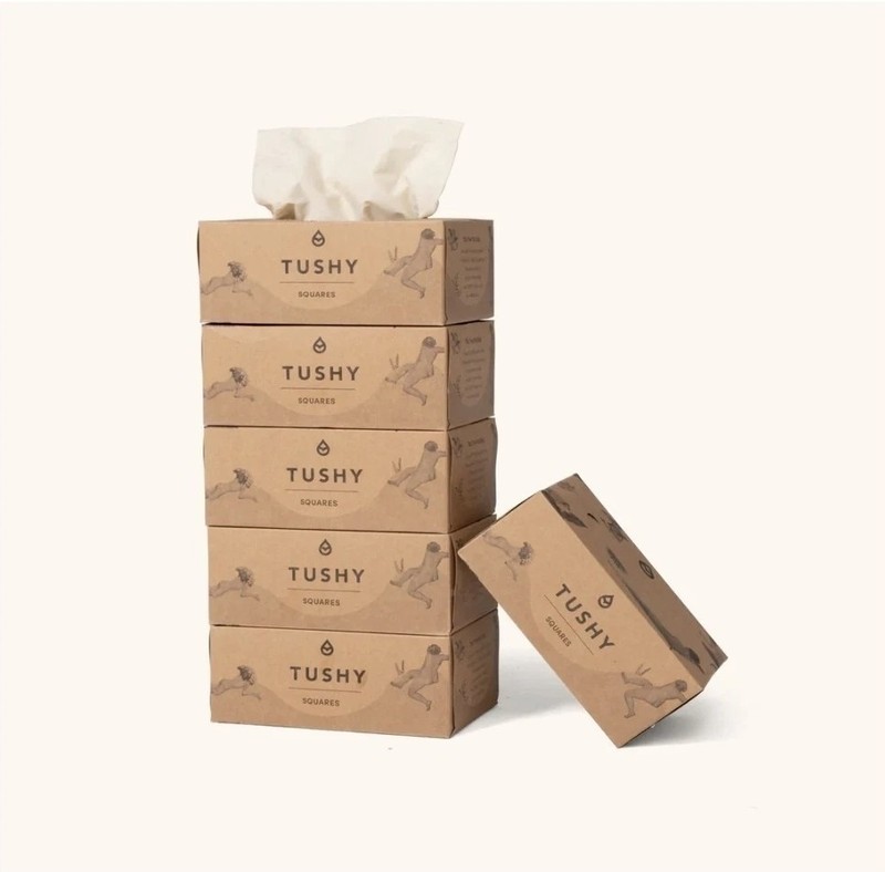 22 BOXES TUSHY Bamboo Toilet Tissue Box Refills Flushable Soft