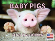 Baby Pig Calendar 2026 Piglet Monthly Wall Calender 12 Month