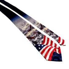 Steven Harris Mens Necktie Designer American Flag Eagle Office Work Casual Dad G
