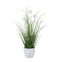 artplants Deko Wollgras Borfi Im Dekotopf, Rispen, Weiß, 35Cm