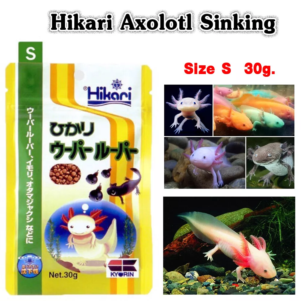 Size-S Hikari Axolotl Food Axolotl Salamander Sinking Pellet Protein 47%  Japan