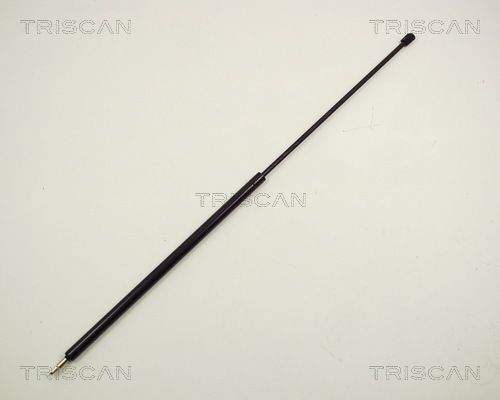 2x Gasfedern Für Motorhaube - Passend Für BMW 3er E36 Coupe & Cabrio