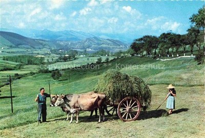 SANTANDER Cantabria ES Ochsenkarren Heuladung Berglandschaft Wiesen Baeume Bauer