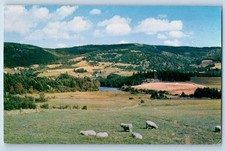 1964 Sidney Nova Scotia Canada Postcard Cape Breton Margaree Valley  Cheticamp