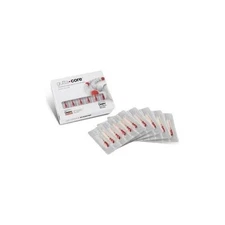 Dentsply A1703P0044000 GuttaCore Pink Obturators #40 Large 30/Pk EXP Feb 2026