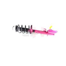 GH GH+351056C02 2x Komplett Federbein PRO hinten für Alfa Romeo