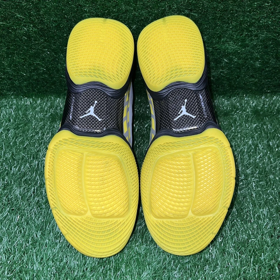 Nike Air Jordan Oregon Ducks Team Issued Melo M10 Size 11 New Sample PE - Image 4 of 4