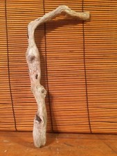 Beautiful 10" DRIFTWOOD Piece Art Terrarium Taxidermy Aquarium Reptile DECOR